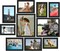 10-Pack Picture Frame Set – Multi-Size Collage Frames for Wall or Tabletop Display, Includes 8x10, 5x7 & 4x6 Photo Frames, Black Gallery Wall Décor for Home & Office (Black)